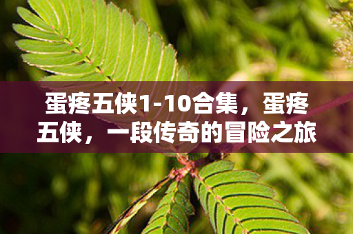 蛋疼五侠1-10合集,蛋疼五侠,一段传奇的冒险之旅 蛋疼五侠1-10合集,蛋疼五侠,一段传奇的冒险之旅