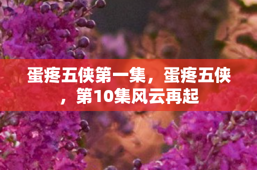 蛋疼五侠第一集，蛋疼五侠，第10集风云再起