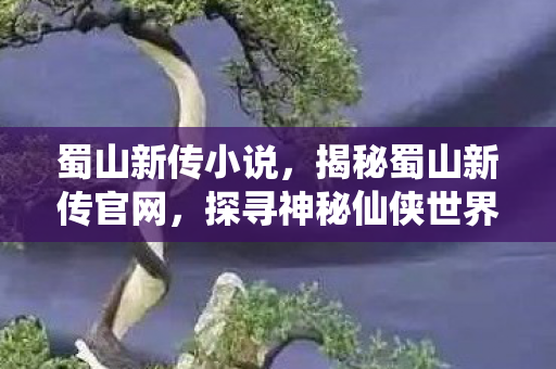 蜀山新传小说，揭秘蜀山新传官网，探寻神秘仙侠世界的门户