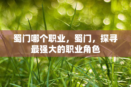 蜀门哪个职业，蜀门，探寻最强大的职业角色
