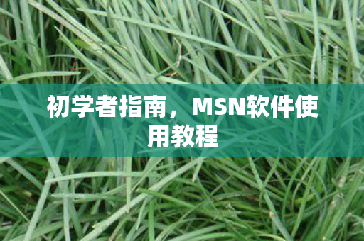 初学者指南，MSN软件使用教程