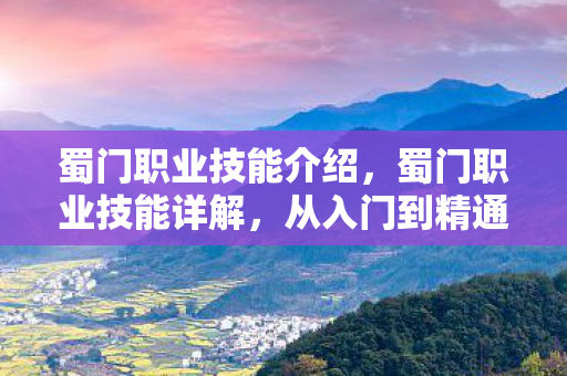蜀门职业技能介绍，蜀门职业技能详解，从入门到精通