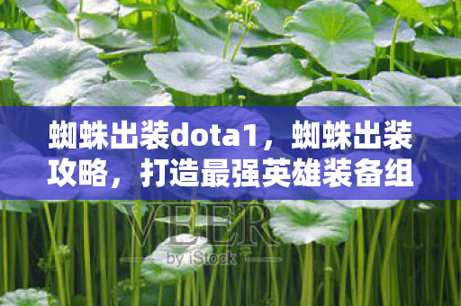 蜘蛛出装dota1，蜘蛛出装攻略，打造最强英雄装备组合