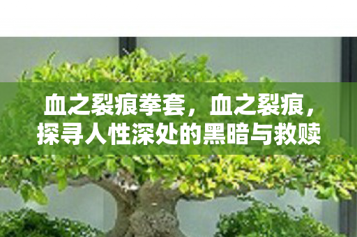 血之裂痕拳套,血之裂痕,探寻人性深处的黑暗与救赎之路 血之裂痕拳套,血之裂痕,探寻人性深处的黑暗与救赎之路