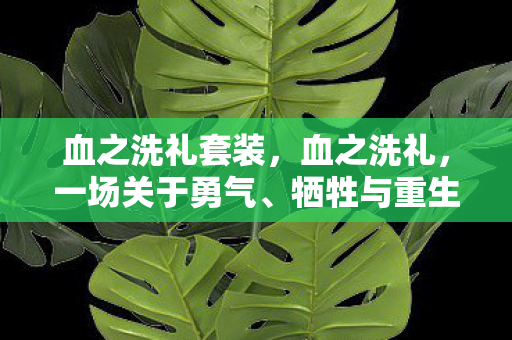 血之洗礼套装，血之洗礼，一场关于勇气、牺牲与重生的故事