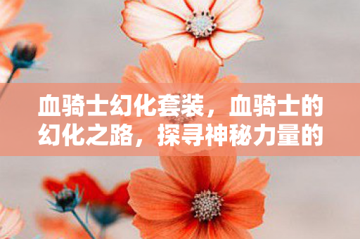 血骑士幻化套装,血骑士的幻化之路,探寻神秘力量的源泉 血骑士幻化套装,血骑士的幻化之路,探寻神秘力量的源泉