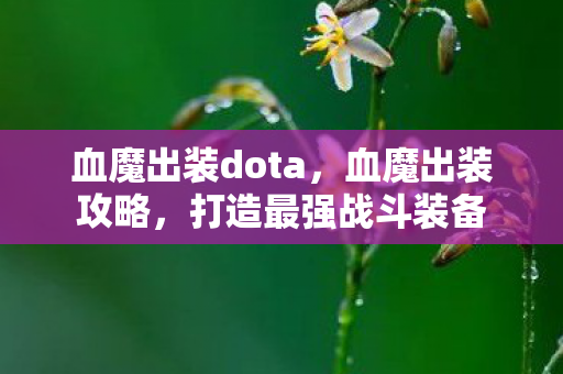 血魔出装dota，血魔出装攻略，打造最强战斗装备