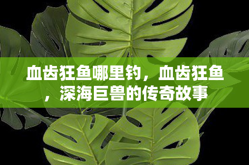 血齿狂鱼哪里钓，血齿狂鱼，深海巨兽的传奇故事