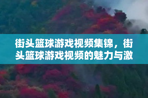 街头篮球游戏视频集锦,街头篮球游戏视频的魅力与激情四溢的世界 街头篮球游戏视频集锦,街头篮球游戏视频的魅力与激情四溢的世界
