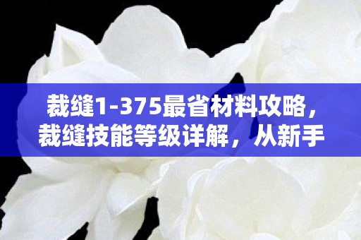 裁缝1-375最省材料攻略,裁缝技能等级详解,从新手到大师之路(1-375) 裁缝1-375最省材料攻略,裁缝技能等级详解,从新手到大师之路(1-375)