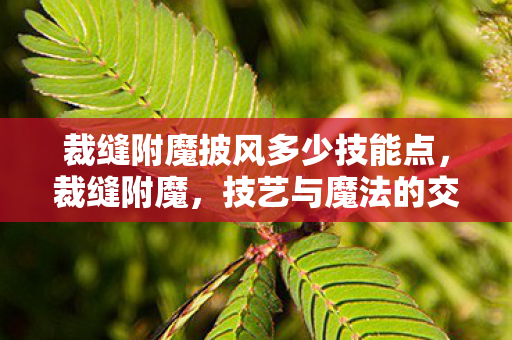 裁缝附魔披风多少技能点,裁缝附魔,技艺与魔法的交融 裁缝附魔披风多少技能点,裁缝附魔,技艺与魔法的交融