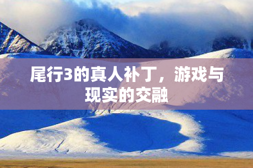 尾行3的真人补丁,游戏与现实的交融 尾行3的真人补丁,游戏与现实的交融