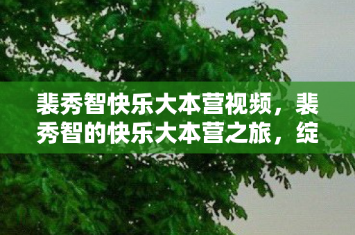 裴秀智快乐大本营视频,裴秀智的快乐大本营之旅,绽放的青春光彩 裴秀智快乐大本营视频,裴秀智的快乐大本营之旅,绽放的青春光彩