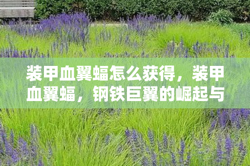 装甲血翼蝠怎么获得,装甲血翼蝠,钢铁巨翼的崛起与背后的故事 装甲血翼蝠怎么获得,装甲血翼蝠,钢铁巨翼的崛起与背后的故事