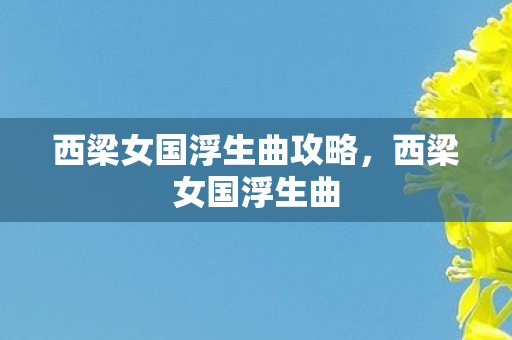 西梁女国浮生曲攻略，西梁女国浮生曲