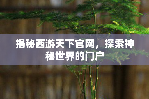 揭秘西游天下官网，探索神秘世界的门户