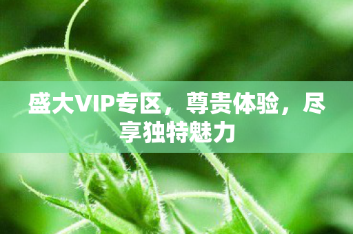 盛大VIP专区,尊贵体验,尽享独特魅力 盛大VIP专区,尊贵体验,尽享独特魅力