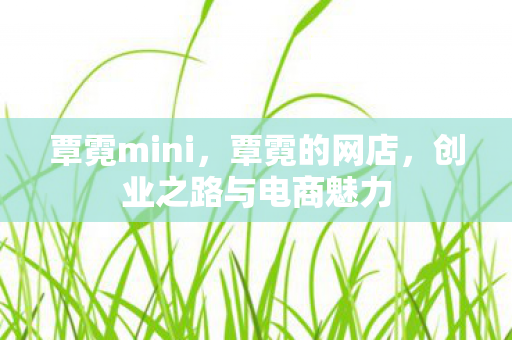 覃霓mini，覃霓的网店，创业之路与电商魅力