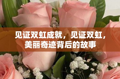 见证双虹成就，见证双虹，美丽奇迹背后的故事