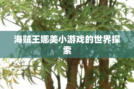 海贼王娜美小游戏的世界探索