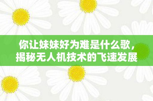 你让妹妹好为难是什么歌，揭秘无人机技术的飞速发展，让你妹飞的时代已经来临！