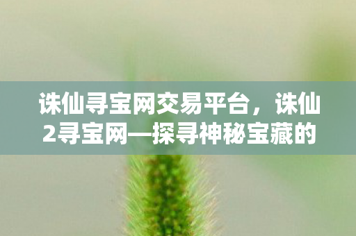 诛仙寻宝网交易平台，诛仙2寻宝网—探寻神秘宝藏的绝佳平台