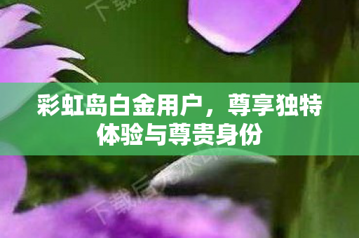 彩虹岛白金用户，尊享独特体验与尊贵身份