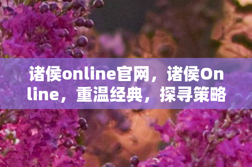 诸侯online官网，诸侯Online，重温经典，探寻策略战争的奥秘