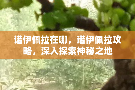 诺伊佩拉在哪,诺伊佩拉攻略,深入探索神秘之地 诺伊佩拉在哪,诺伊佩拉攻略,深入探索神秘之地