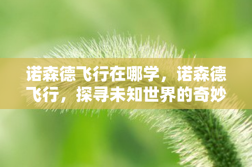 诺森德飞行在哪学,诺森德飞行,探寻未知世界的奇妙之旅 诺森德飞行在哪学,诺森德飞行,探寻未知世界的奇妙之旅