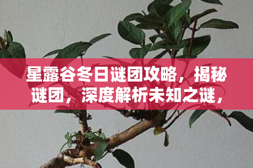 星露谷冬日谜团攻略,揭秘谜团,深度解析未知之谜,助你轻松通关 星露谷冬日谜团攻略,揭秘谜团,深度解析未知之谜,助你轻松通关