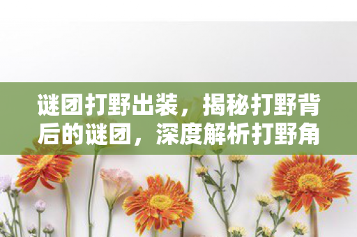 谜团打野出装，揭秘打野背后的谜团，深度解析打野角色在游戏中的多重角色与战术应用