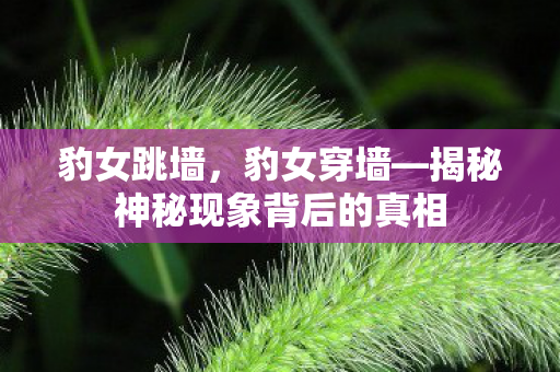 豹女跳墙，豹女穿墙—揭秘神秘现象背后的真相