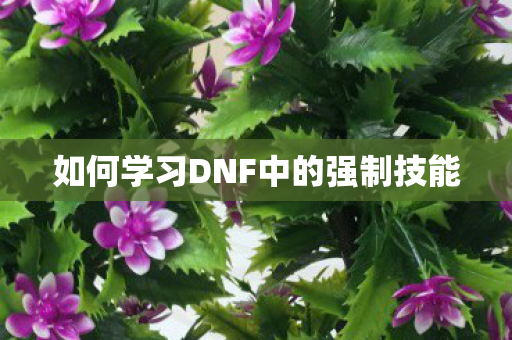 如何学习DNF中的强制技能