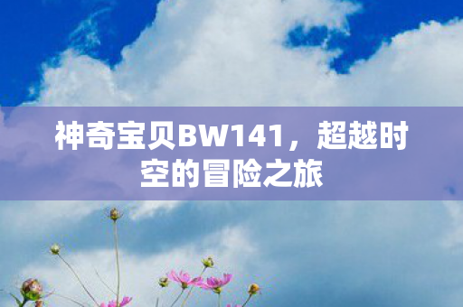 神奇宝贝BW141，超越时空的冒险之旅