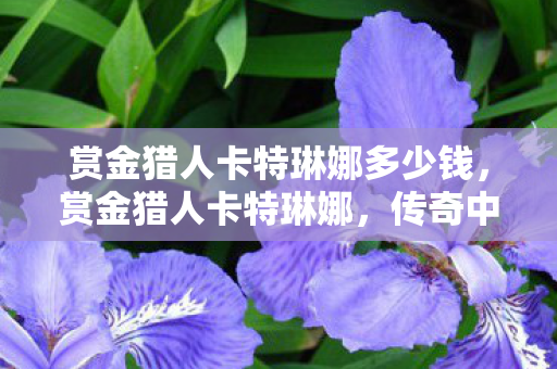 赏金猎人卡特琳娜多少钱，赏金猎人卡特琳娜，传奇中的刺客与英雄之路