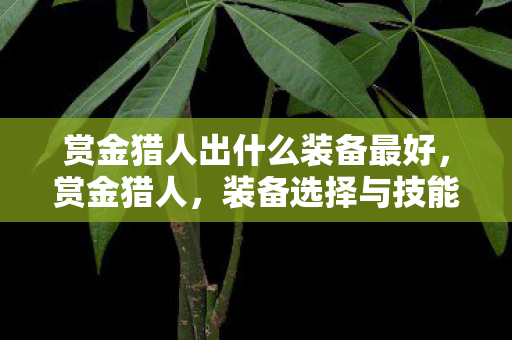 赏金猎人出什么装备最好，赏金猎人，装备选择与技能搭配的艺术