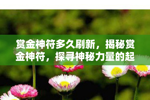 赏金神符多久刷新，揭秘赏金神符，探寻神秘力量的起源与奥秘