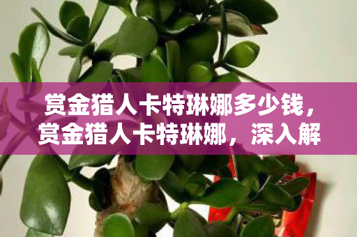 赏金猎人卡特琳娜多少钱，赏金猎人卡特琳娜，深入解析英雄魅力与实战技巧