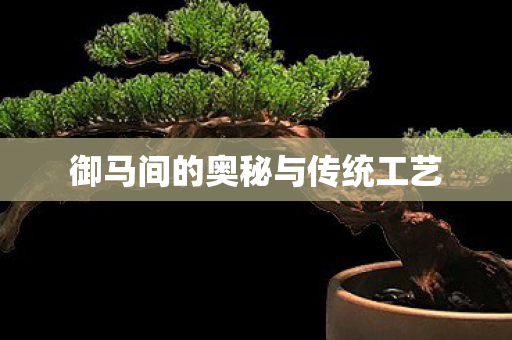 御马间的奥秘与传统工艺 御马间的奥秘与传统工艺
