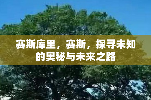 赛斯库里,赛斯,探寻未知的奥秘与未来之路 赛斯库里,赛斯,探寻未知的奥秘与未来之路