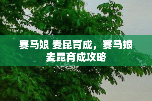 赛马娘 麦昆育成，赛马娘麦昆育成攻略