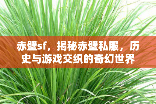 赤壁sf，揭秘赤壁私服，历史与游戏交织的奇幻世界