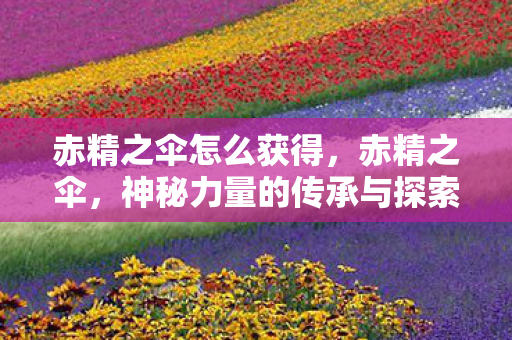 赤精之伞怎么获得，赤精之伞，神秘力量的传承与探索