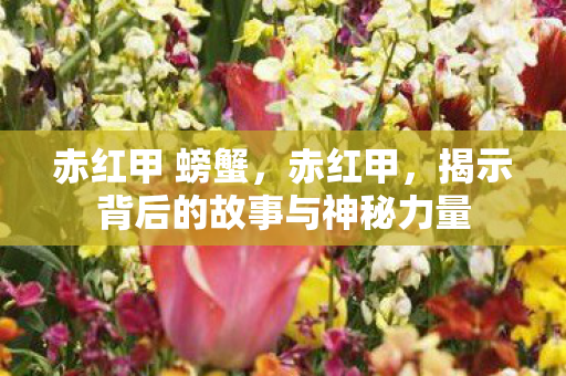 赤红甲 螃蟹,赤红甲,揭示背后的故事与神秘力量 赤红甲 螃蟹,赤红甲,揭示背后的故事与神秘力量