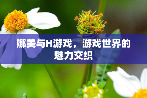娜美与H游戏，游戏世界的魅力交织