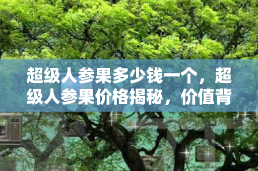 超级人参果多少钱一个，超级人参果价格揭秘，价值背后的秘密