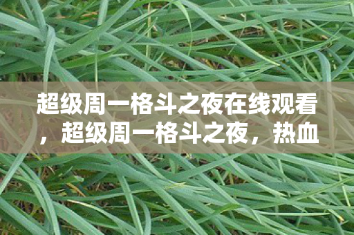 超级周一格斗之夜在线观看,超级周一格斗之夜,热血之战,荣耀之巅 超级周一格斗之夜在线观看,超级周一格斗之夜,热血之战,荣耀之巅