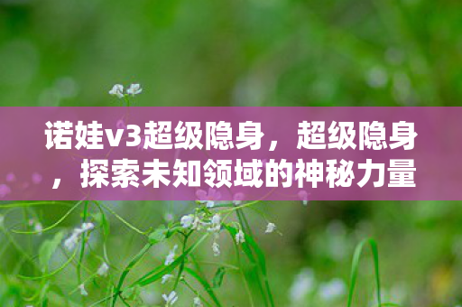 诺娃v3超级隐身，超级隐身，探索未知领域的神秘力量