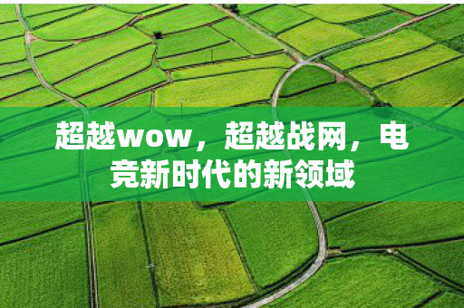 超越wow，超越战网，电竞新时代的新领域